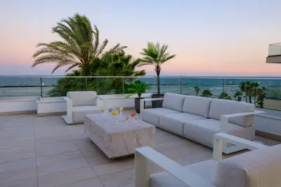 Roof Garden - image 2